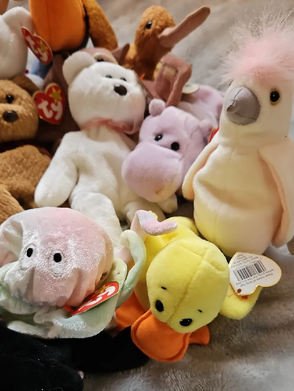 Vintage Ty Beanie Baby Lot of 16 4+lbs Collection  Bears Bat Hippo Duck & More - Picture 12 of 16